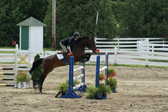 Ferme Équestre de la Capucine